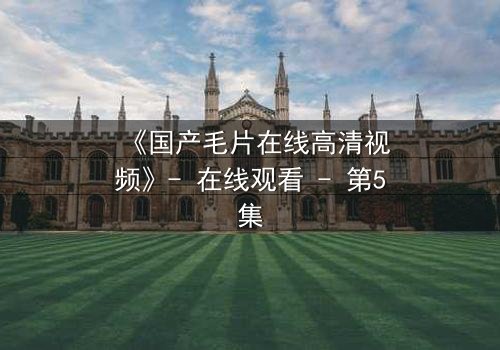 《国产毛片在线高清视频》- 在线观看 - 第5集