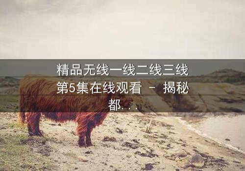 精品无线一线二线三线第5集在线观看 - 揭秘都市精英的隐秘抉择