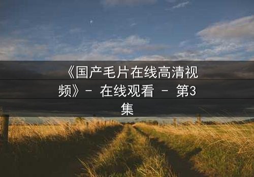 《国产毛片在线高清视频》- 在线观看 - 第3集