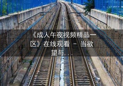 《成人午夜视频精品一区》在线观看 - 当欲望与真相交织,谁将揭开午夜的面纱?
