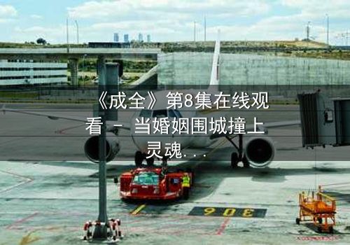 《成全》第8集在线观看 - 当婚姻围城撞上灵魂知己,谁在深夜按下删除键?