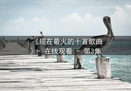 《现在最火的十首歌曲》- 在线观看 - 第3集